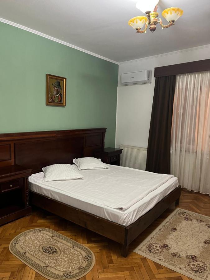 Pensiunea Diana Hotel Fagaras Luaran gambar