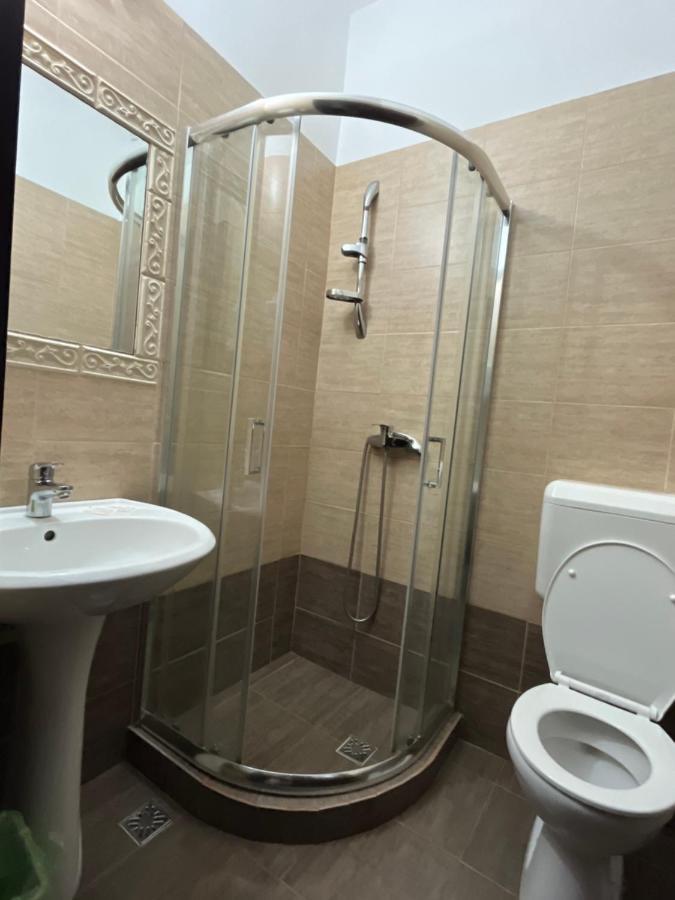 Pensiunea Diana Hotel Fagaras Luaran gambar