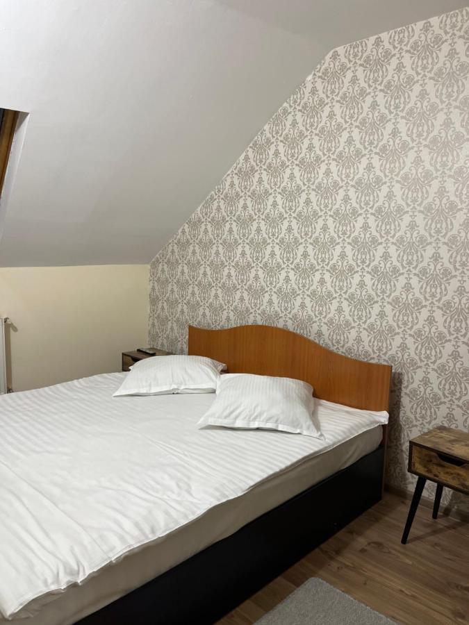 Pensiunea Diana Hotel Fagaras Luaran gambar