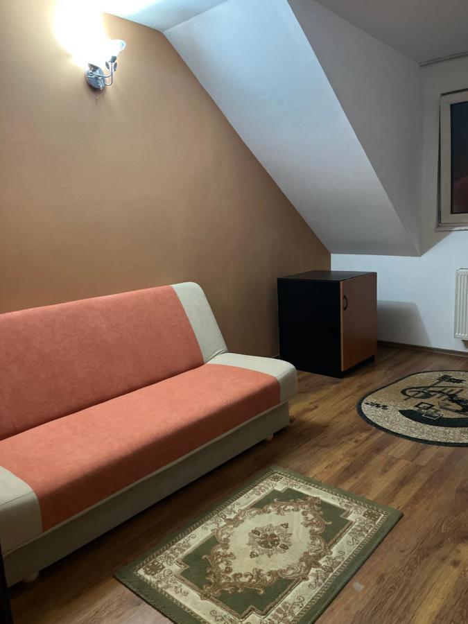 Pensiunea Diana Hotel Fagaras Luaran gambar