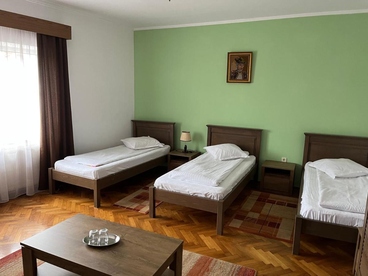 Pensiunea Diana Hotel Fagaras Luaran gambar
