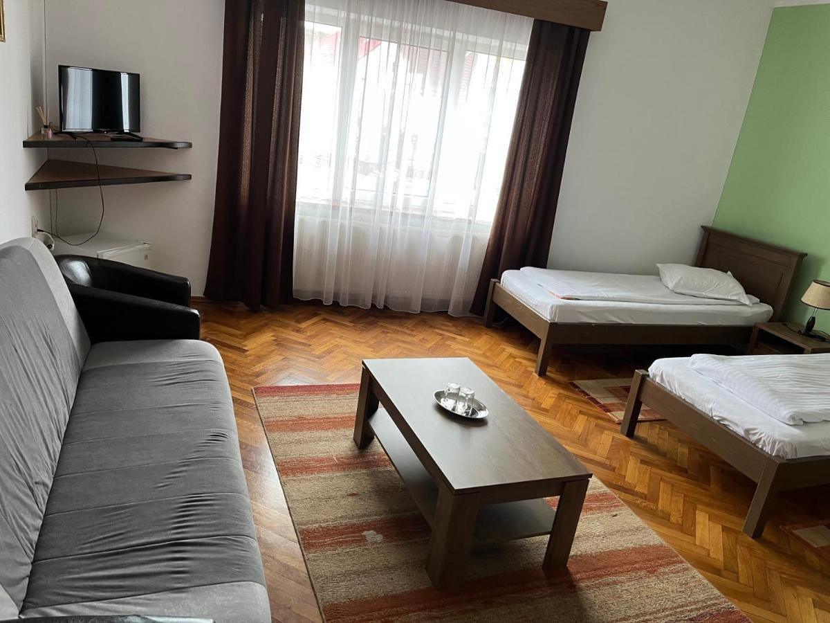 Pensiunea Diana Hotel Fagaras Luaran gambar