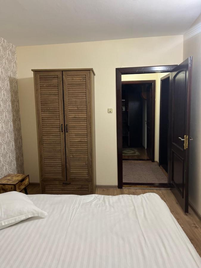 Pensiunea Diana Hotel Fagaras Luaran gambar
