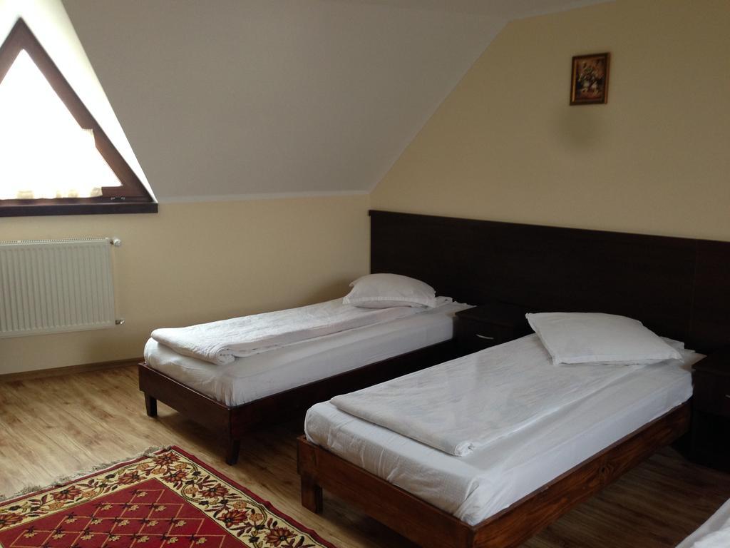Pensiunea Diana Hotel Fagaras Luaran gambar