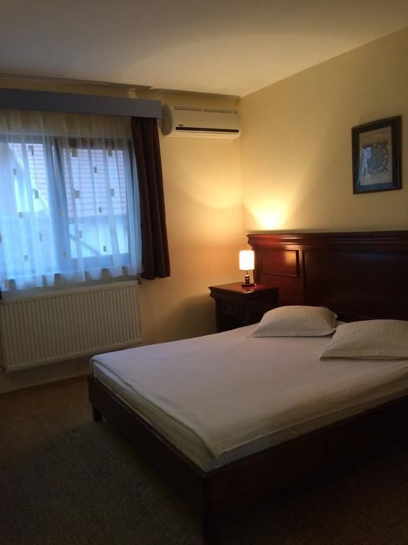 Pensiunea Diana Hotel Fagaras Luaran gambar